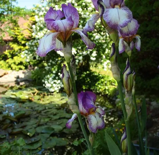 Werners Landgasthaus