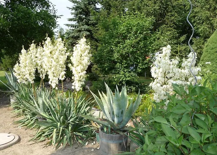 Gæstehus Werners Landgasthaus 3*