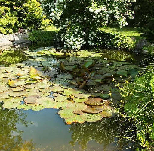 Werners Landgasthaus Gæstehus Lieskau